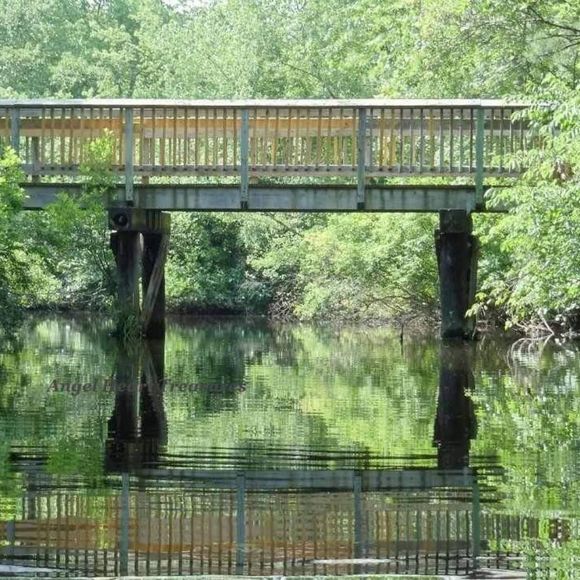 4x6 Original Photography Bridge Reflections - Picture 1 of 1